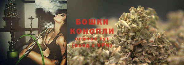 ПСИЛОЦИБИНОВЫЕ ГРИБЫ Алзамай