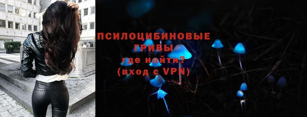 ПСИЛОЦИБИНОВЫЕ ГРИБЫ Алзамай