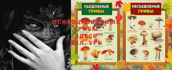 ПСИЛОЦИБИНОВЫЕ ГРИБЫ Алзамай