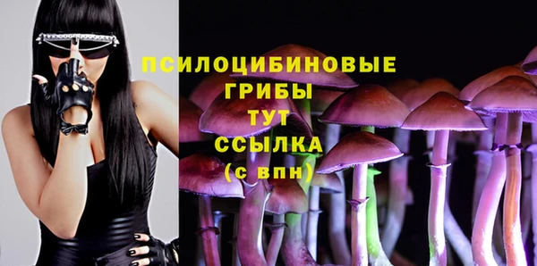 прущий лед Алексеевка