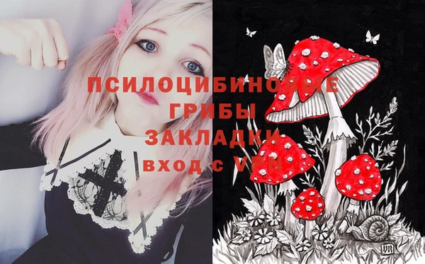 прущий лед Алексеевка